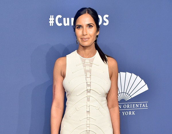 Padma Lakshmi from 2020 amfAR Gala New York City | E! News